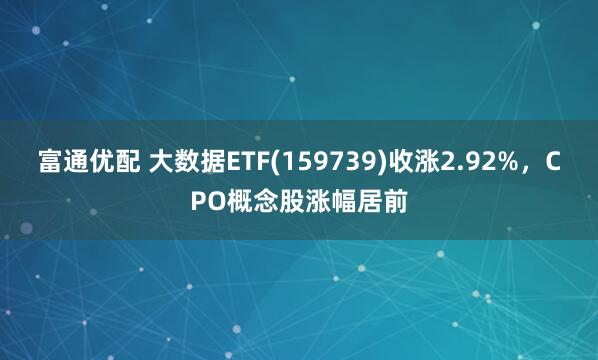 富通优配 大数据ETF(159739)收涨2.92%，CPO概念股涨幅居前