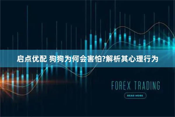 启点优配 狗狗为何会害怕?解析其心理行为