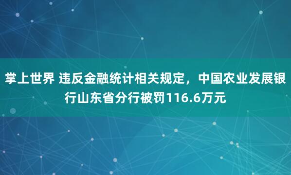掌上世界 违反金融统计相关规定，中国农业发展银行山东省分行被罚116.6万元
