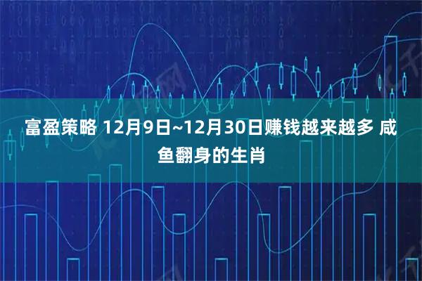 富盈策略 12月9日~12月30日赚钱越来越多 咸鱼翻身的生肖