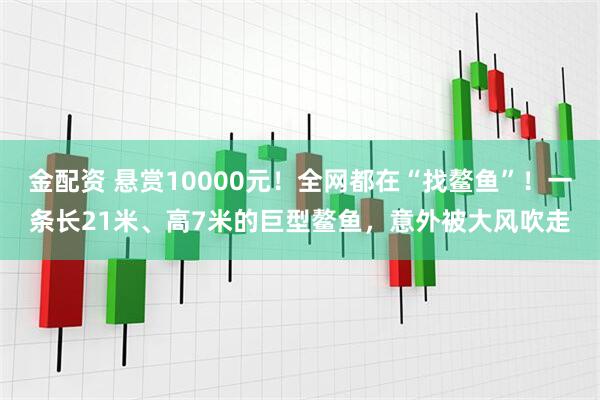 金配资 悬赏10000元！全网都在“找鳌鱼”！一条长21米、高7米的巨型鳌鱼，意外被大风吹走