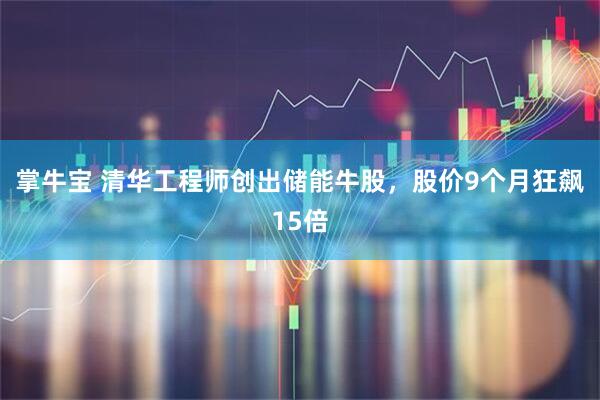 掌牛宝 清华工程师创出储能牛股，股价9个月狂飙15倍