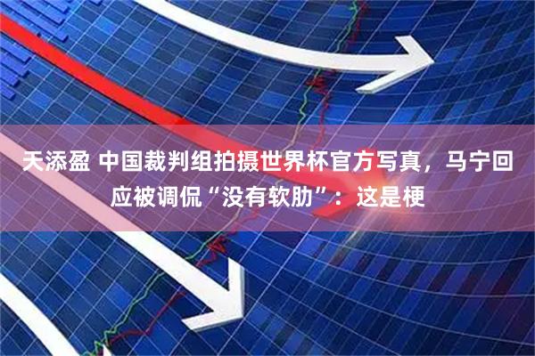 天添盈 中国裁判组拍摄世界杯官方写真，马宁回应被调侃“没有软肋”：这是梗